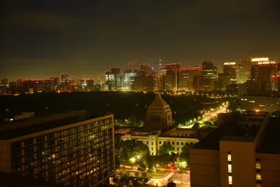 DSC_3237 (Large).JPG